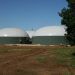 gas renovable