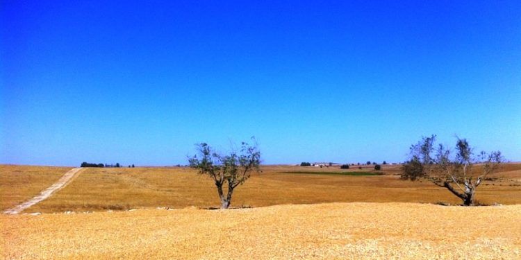 desertificación y degradación del suelo