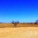 desertificación y degradación del suelo