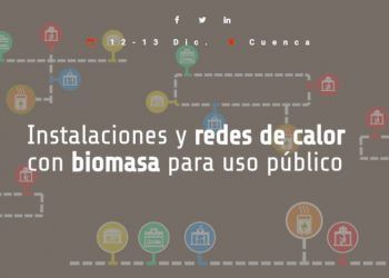 Congreso de Bioenergía sobre redes de calor