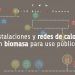 Congreso de Bioenergía sobre redes de calor
