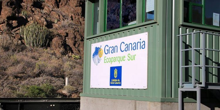 Renovables en Gran Canaria