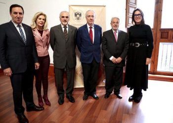 Unida Mixta de Investigacion Fusión nuclear