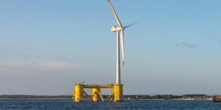 Offshore Cobra