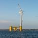 Offshore Cobra