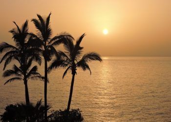 Canarias Gran Canaria