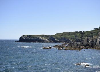 biomasa y eólica marina en Asturias