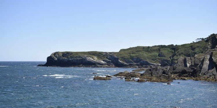 biomasa y eólica marina en Asturias
