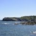 biomasa y eólica marina en Asturias