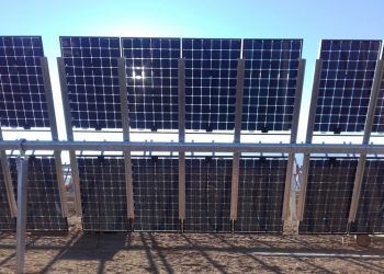 Soltec tecnologia bifacial