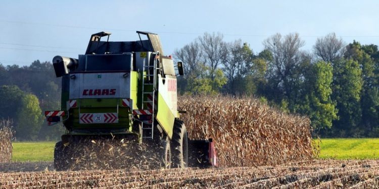 residuos agrícolas y forestales