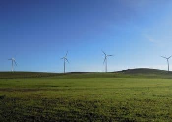 iberdrola