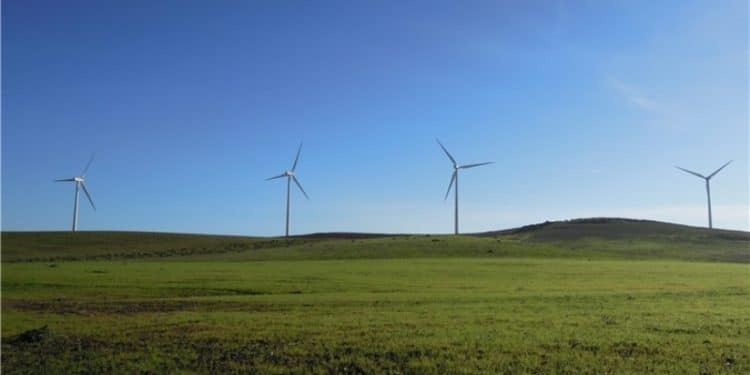 iberdrola