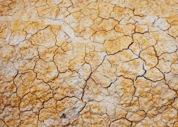cambio climático