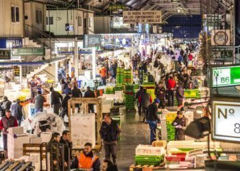 Mercamadrid se ‘enchufa’ a la energía verde de Gesternova