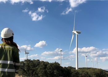 Luz verde al que será uno de los parques eólicos más grandes de Castilla y León