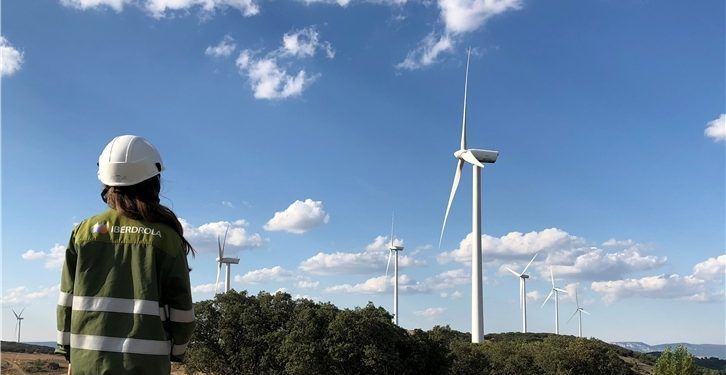 Luz verde al que será uno de los parques eólicos más grandes de Castilla y León