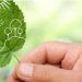 Los expertos de Sto Ibérica apuntan estrategias para hacer viviendas bioclimáticas.