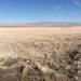 El desierto de Atacama convierte a Chile en el segundo mayor productor de litio del mundo.
