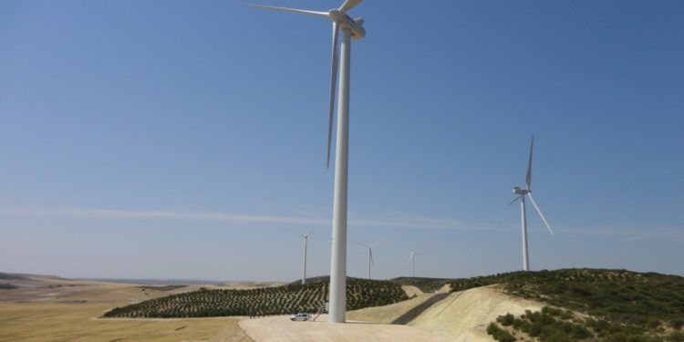 campoliva II
