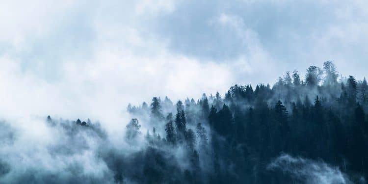 concentración de co2