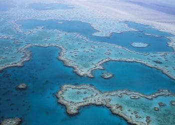 El cambio climático penalizará a muchos sectores, pero también generará oportunidades de inversión.