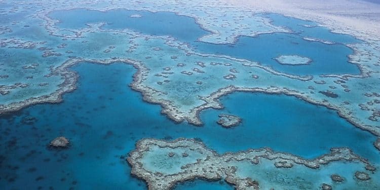 El cambio climático penalizará a muchos sectores, pero también generará oportunidades de inversión.