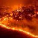 Los incendios en los bosques de Siberia contribuyen significativamente al cambio climático