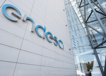 endesa y leroy merlín