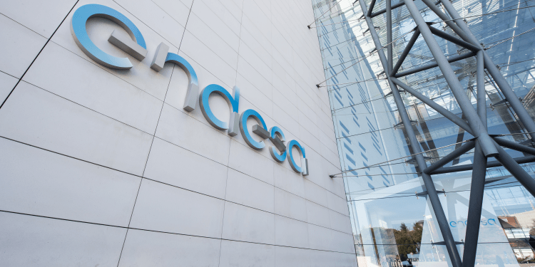endesa y leroy merlín