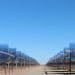 xina solar one