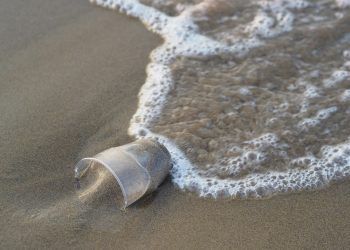 tratado global de los océanos