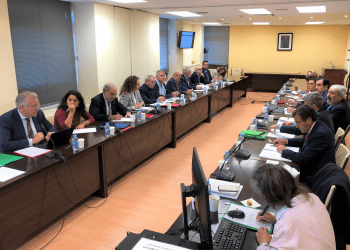 consejo de seguridad nacional