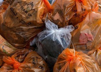 El reciclado de los plásticos de principio a fin