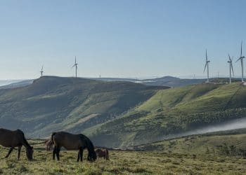 VII Premios Galicia de Energía