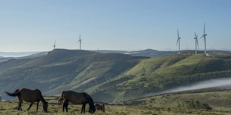 VII Premios Galicia de Energía