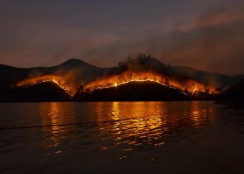 incendios de australia
