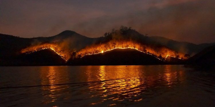 incendios de australia