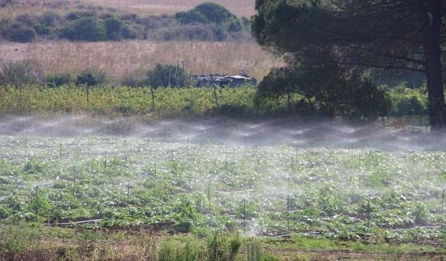 Este sistema de riego fotovoltaico reduce hasta un 30% el consumo de agua