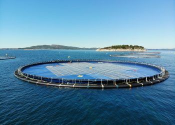 La solución noruega para obtener energía solar flotante dentro de las ciudades