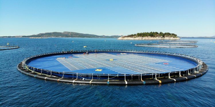 La solución noruega para obtener energía solar flotante dentro de las ciudades