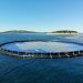La solución noruega para obtener energía solar flotante dentro de las ciudades