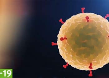 Particulares y empresas transforman su producción para ayudar contra el COVID-19. Foto: European Centre for Disease Prevention and Control.