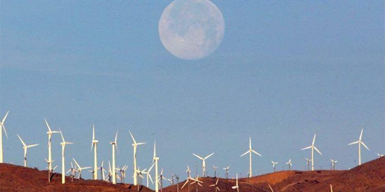 Parque eólico en el desierto de Mojave (EEUU). Foto: Reuters.