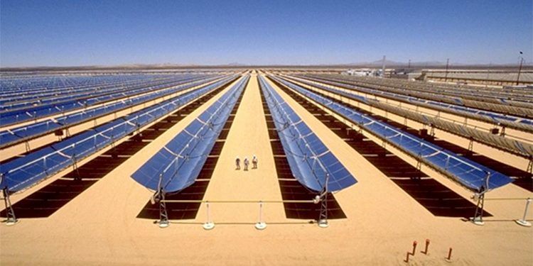 La diversificación y la transición energética que persigue el gobierno argelino ha llevado al desarrollo del proyecto Tafouk1.