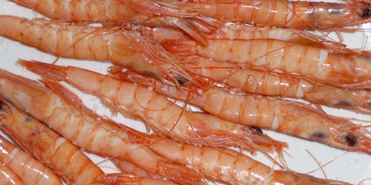 Un proyecto español utiliza cáscaras de gambas en el desarrollo de sistemas de almacenamiento para energías renovables