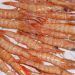 Un proyecto español utiliza cáscaras de gambas en el desarrollo de sistemas de almacenamiento para energías renovables