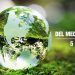 Dia Mundial del Medio Ambiente en tiempos de coronavirus