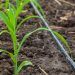 Fenacore advierte que el incremento de tarifas energéticas pone en riesgo la supervivencia de agricultores de la comunidad de regantes.