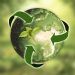 ecopackaging